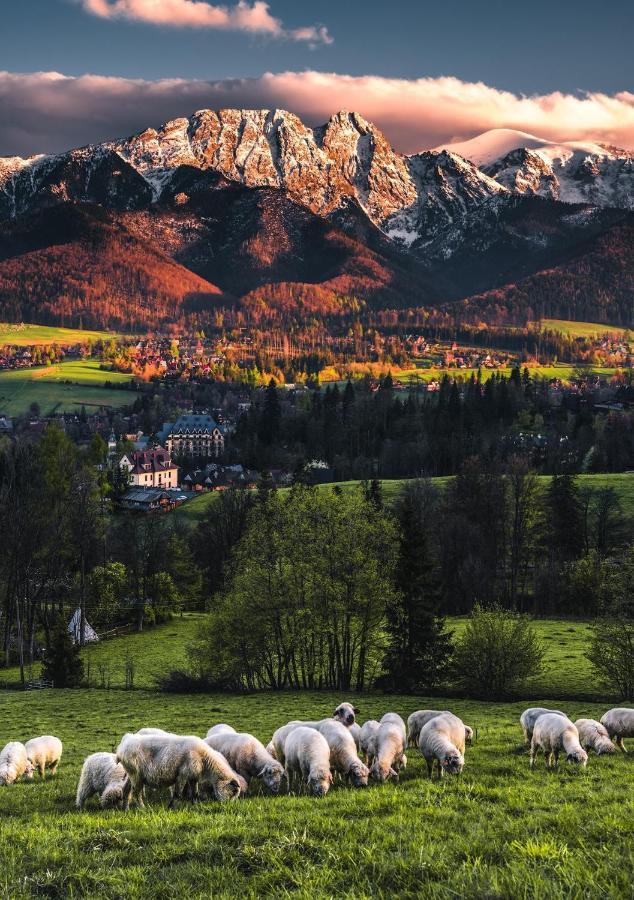 Villa Jumper Widok Na Cale Tatry Lazienka Nie Jest W Pokoju Zakopane Buitenkant foto